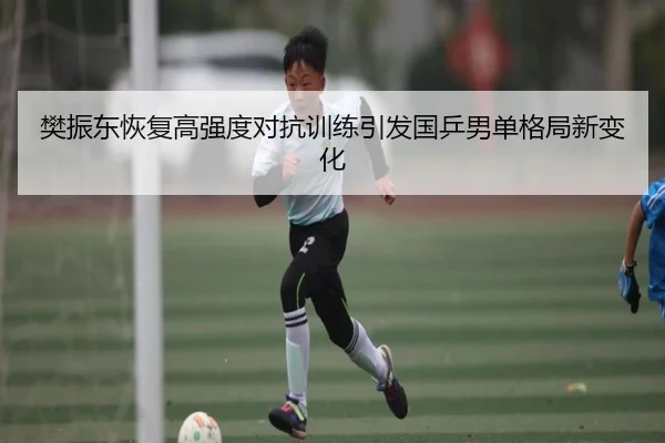 樊振东恢复高强度对抗训练引发国乒男单格局新变化